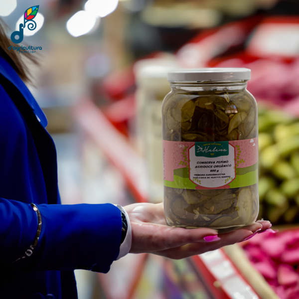 Conserva de Pepino Agridoce (600g)